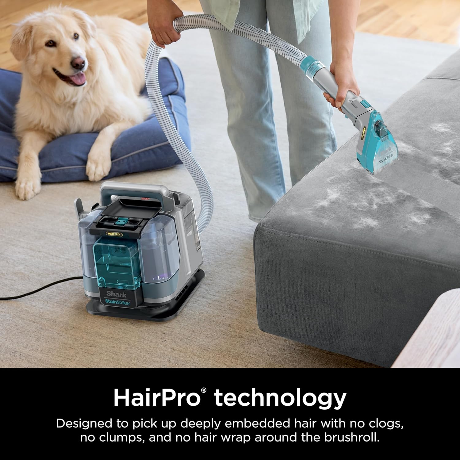 Portable Carpet, Upholstery & Area Rug Cleaner with Pet Mess Tool, Stain & Odor Remover, Perfect for Car Interiors, Includes 3 Cleaning Tools & Cleaning Solution, White🔥