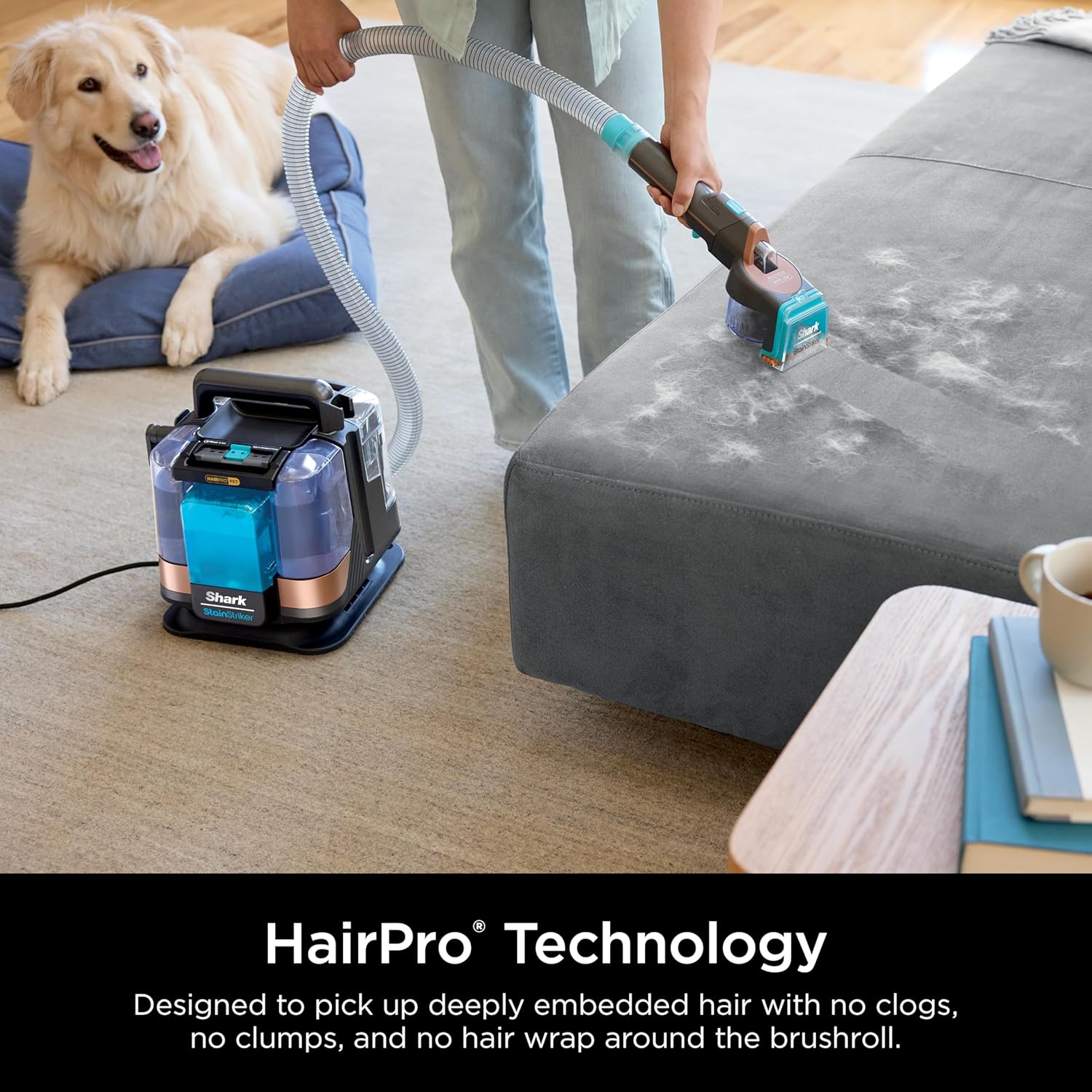Portable Carpet, Upholstery & Area Rug Cleaner with Pet Mess Tool, Stain & Odor Remover, Perfect for Car Interiors, Includes 3 Cleaning Tools & Cleaning Solution, White🔥
