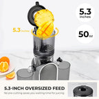 Cold Press Juicer, 300W, 5.3" Large Feed Chute, 1.5L Capacity, Automatic Feeding, High Yield, Easy to Clean, Ideal for Whole Fruits & Vegetables🔥